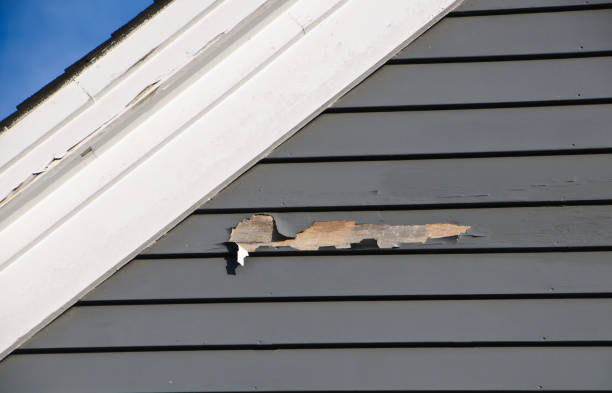 Affordable siding repair and maintenance services in Buckhead, GA